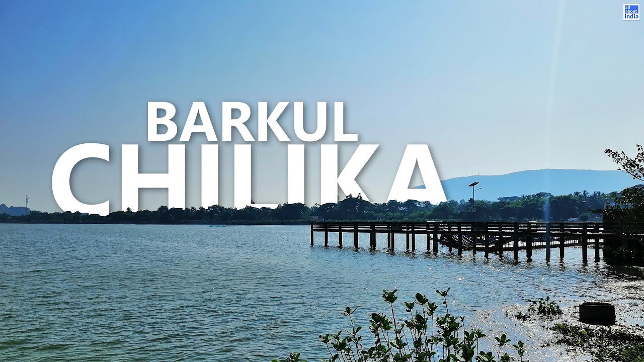 Chilika Lake Barkul