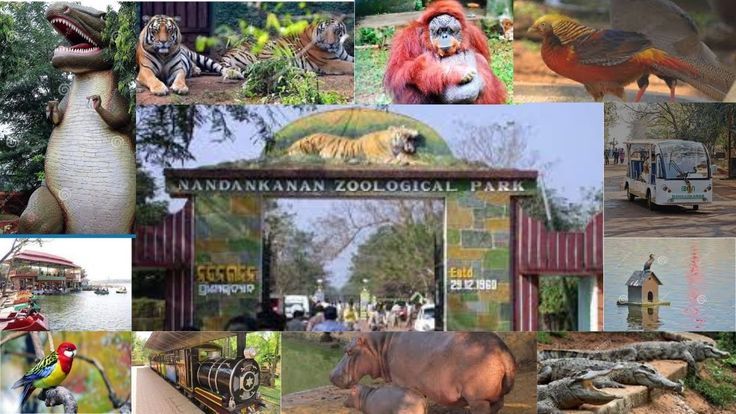 Nandankanan Zoological Park